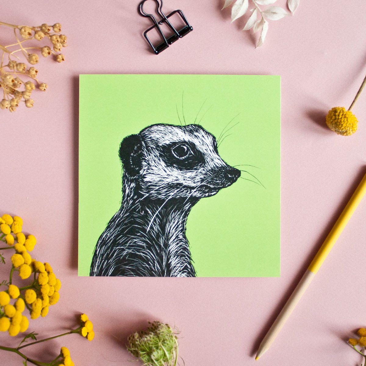 Quadratische Postkarte Erdmännchen
