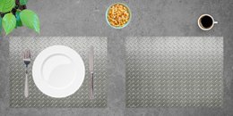 Steel Sheet Ripple Pattern - Placemats | Premium vinyl placemats 44 x 32 cm - 4 pieces
