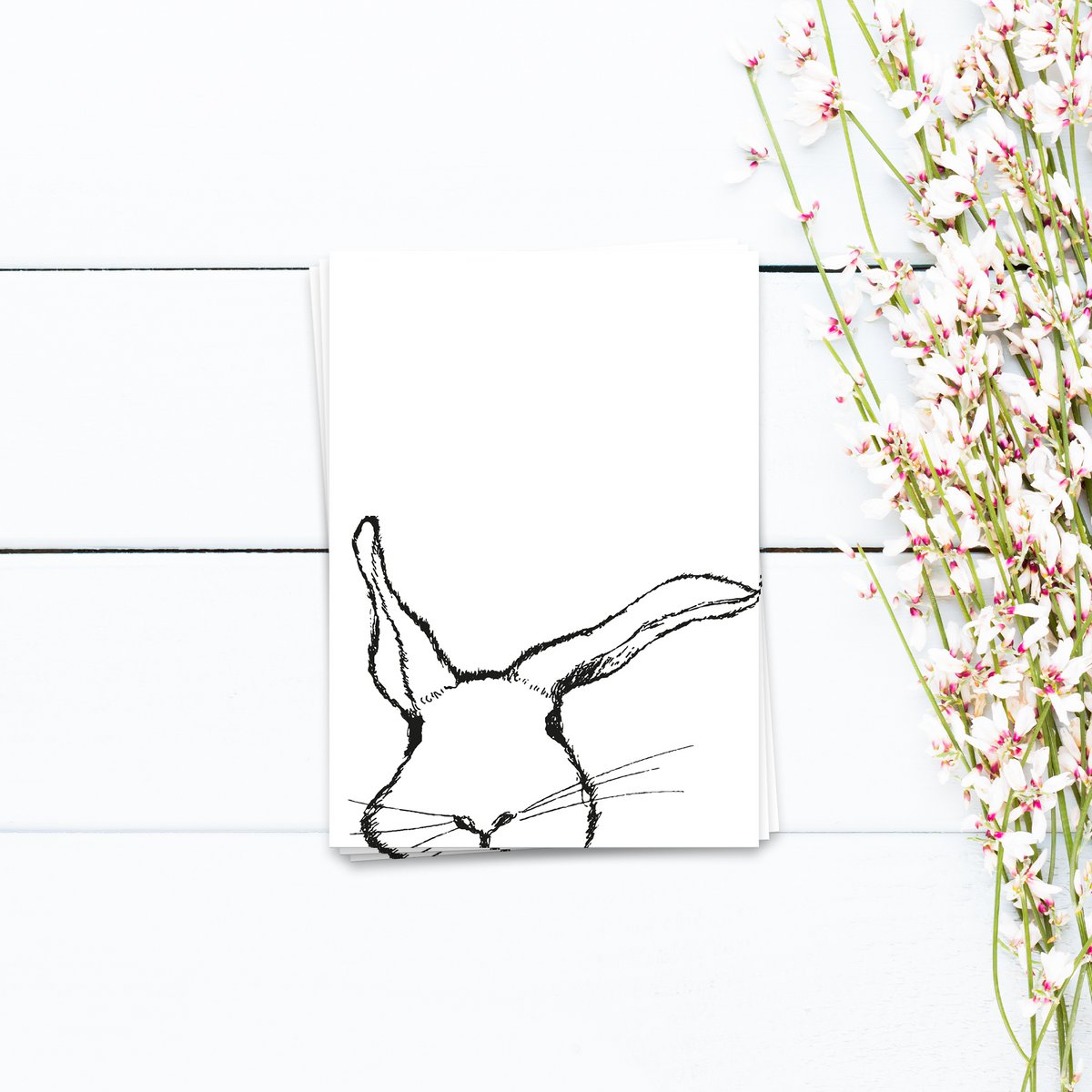 Hasen - Postal 10 set