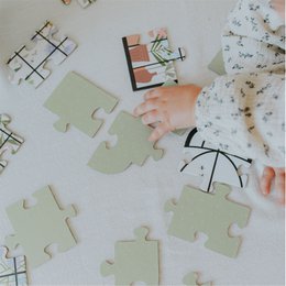 Butterfly Garden Puzzle