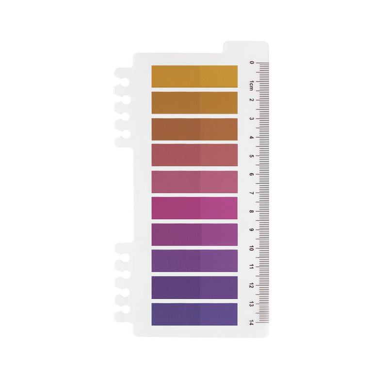 Dromerige horizon | Ordenen plaknotities | Transparante sticky notes voor markering | Plakstrips | Paginamarkering
