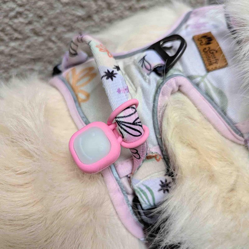 Pendentif lumineux pour chien