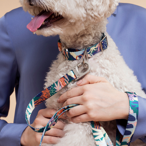 Frans Dog Leash
