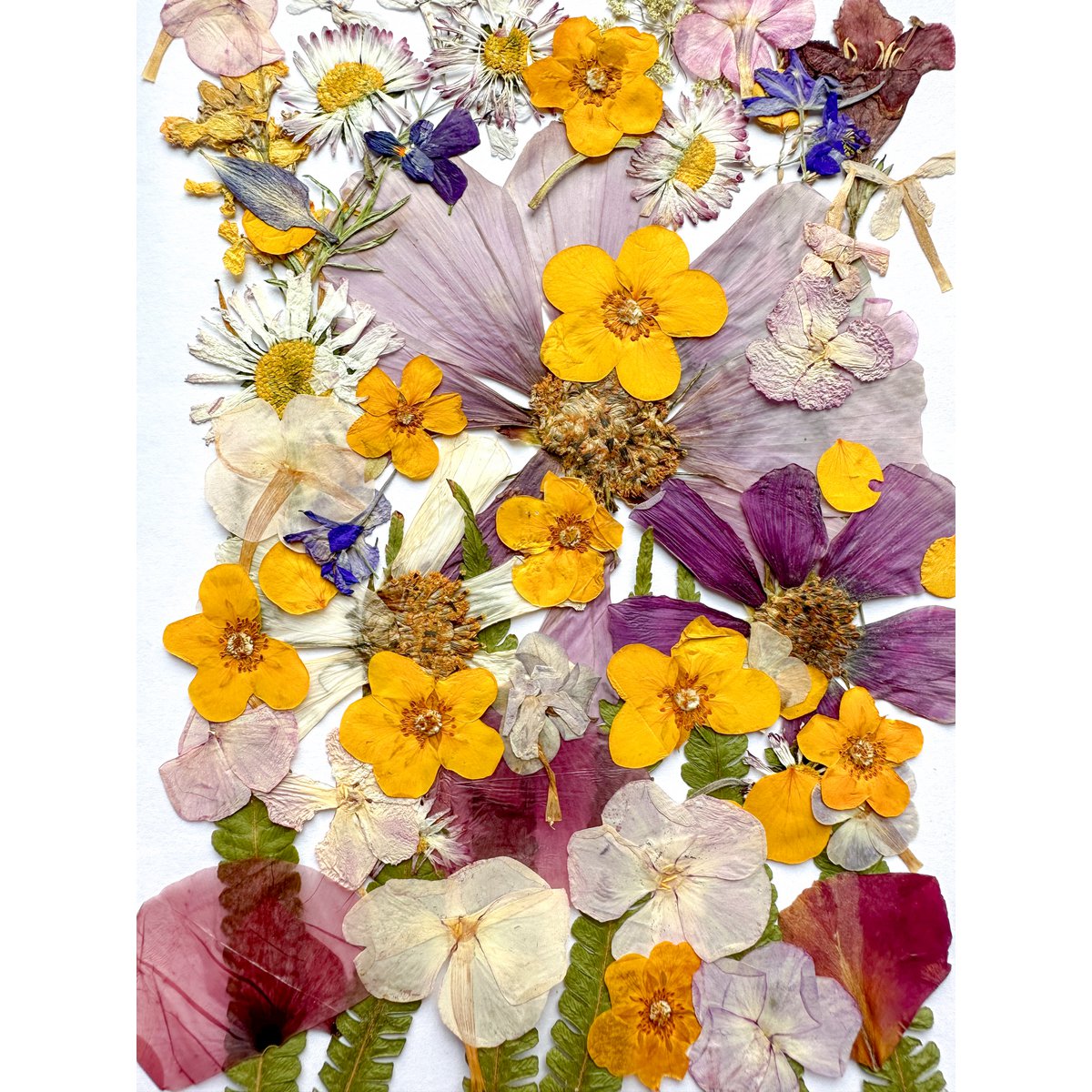 Geperste Bloemen Set 35-40 stuks Gedroogde Bloemen Voor Ambacht