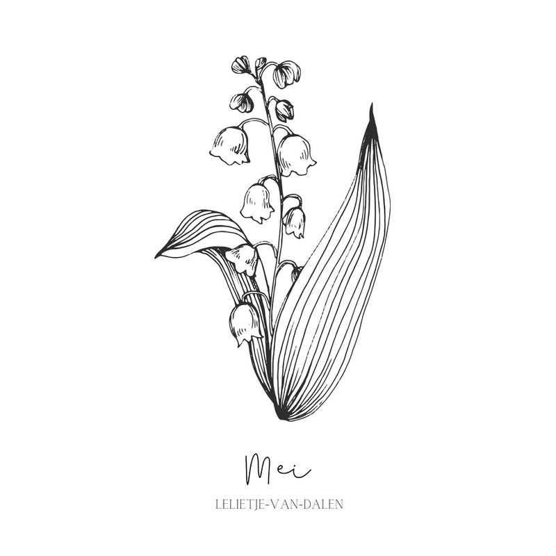 Geburts-Blumenfliese | Januar