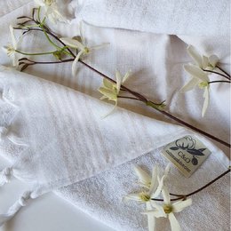Beige Stripes on White