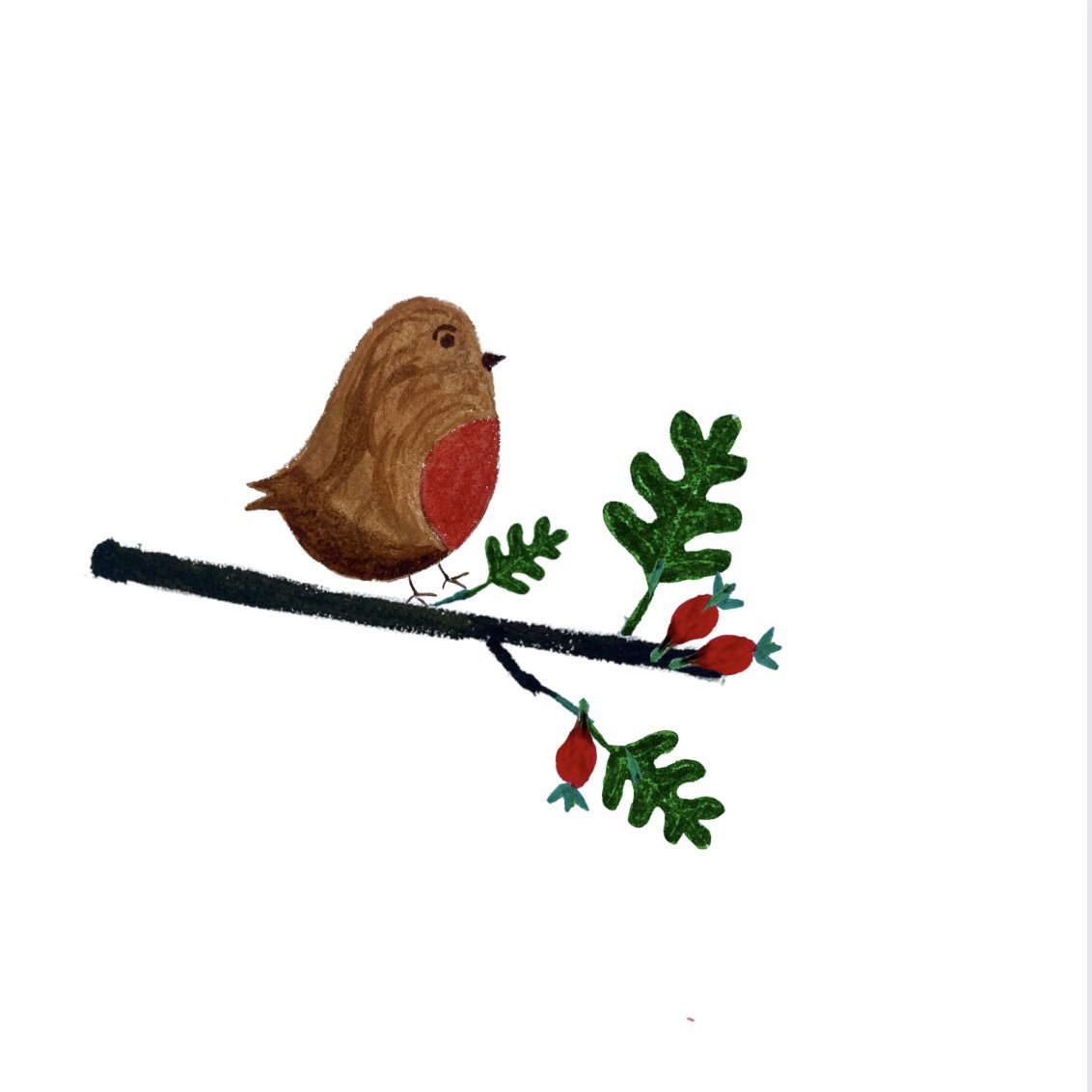 Karte Robin auf Ast