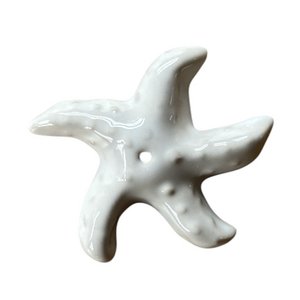 Incense holder starfish