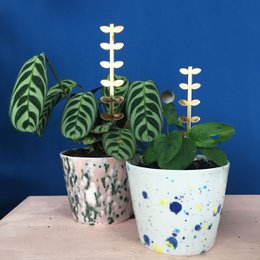 Plantstand set Leafs