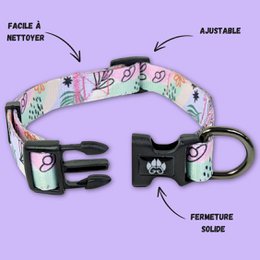 Pastel dog collar