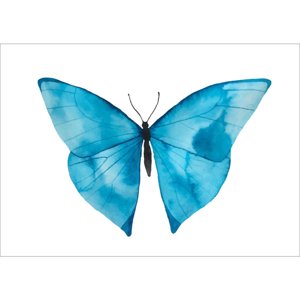 Cartolina - Farfalla blu