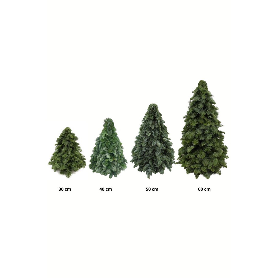 Weihnachtsbaum - Nobilis grün - 30/40/50/60 cm