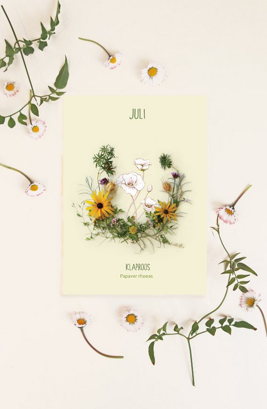 Map monthly flower July