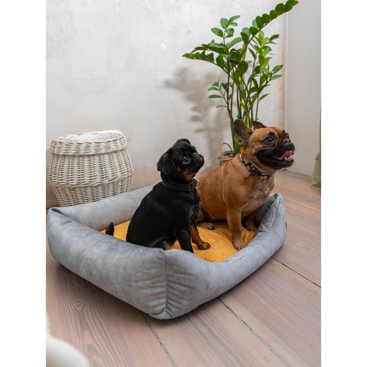 Cuccia per cani e gatti SoftColor - grigio chiaro/multicolore
