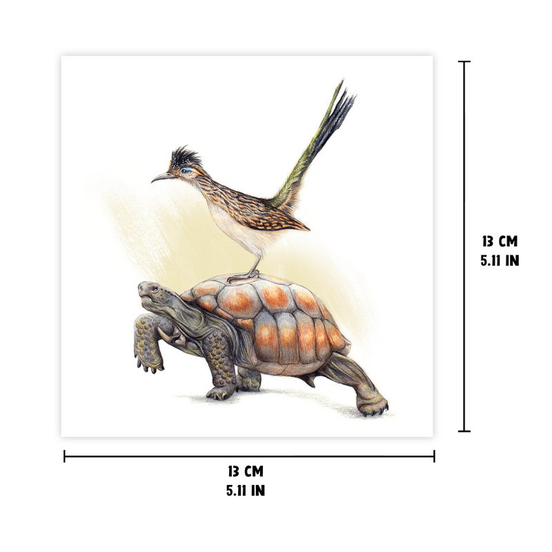 Tortoise & Roadrunner - Greeting Card, 13 x 13 cm, Birds