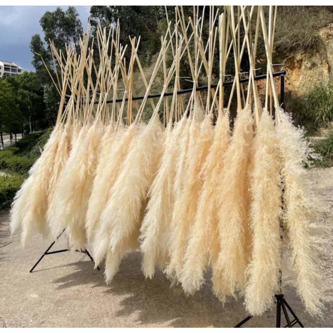 Crema esponjosa de pampas