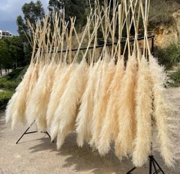 Pampas luftig creme