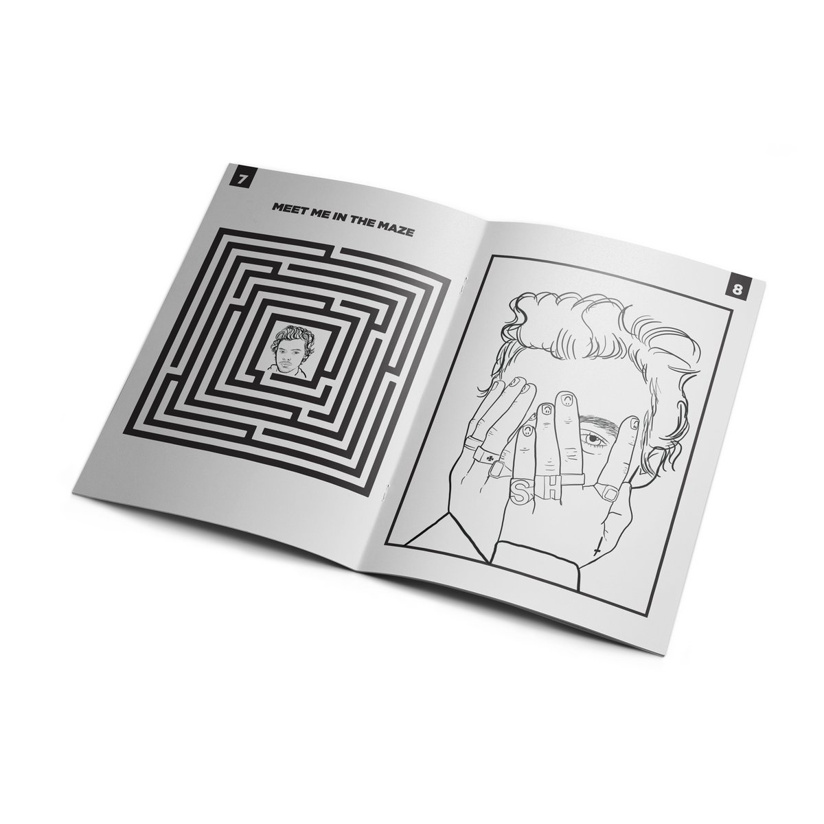 Harry Activiteitenboek