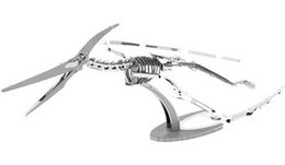 Pteranodon Skelet
