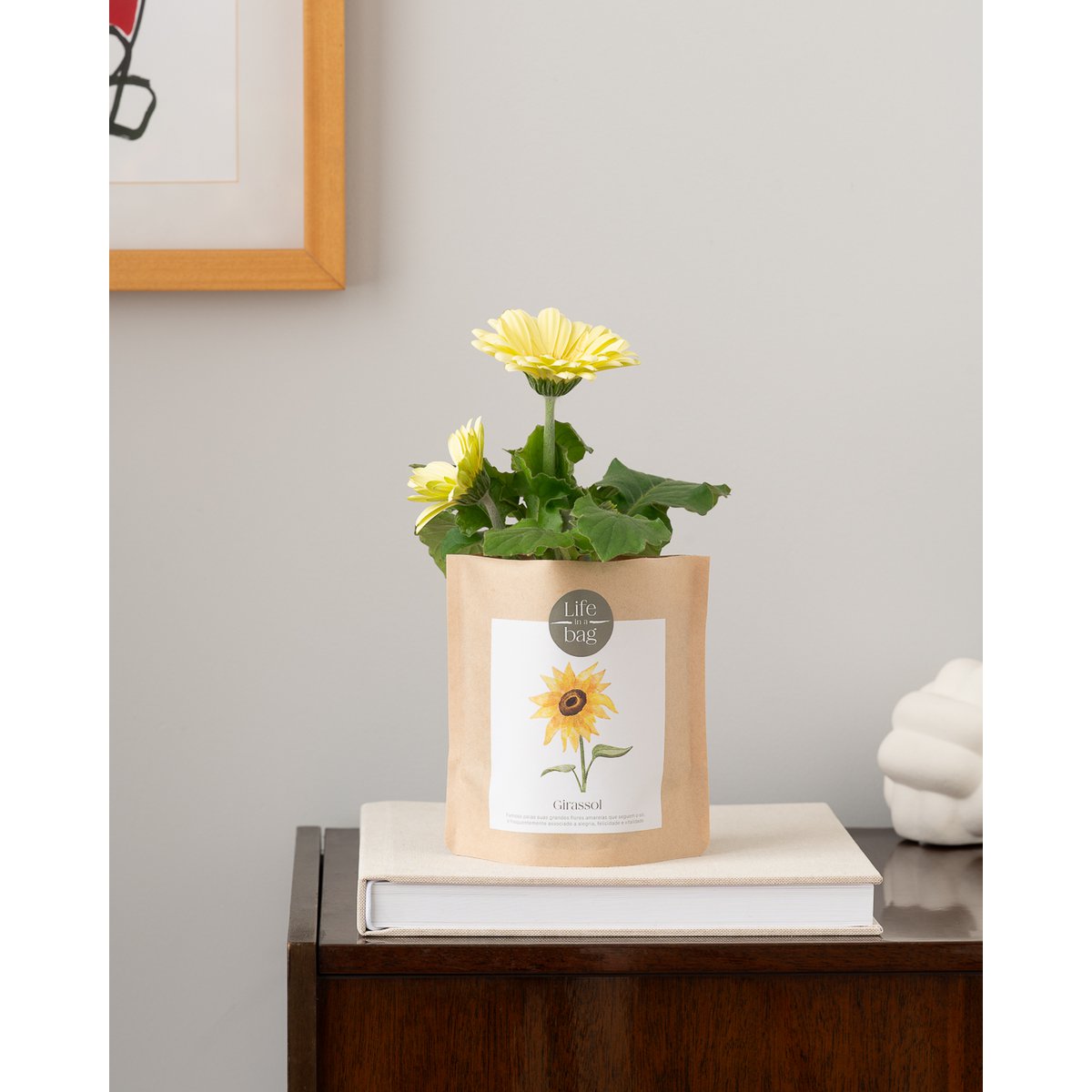 Bolsa de cultivo girasol