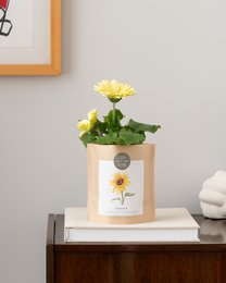 Crea girasole per sacchetti