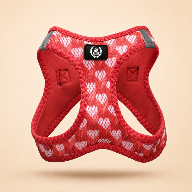 Alpha Dog Traspirante Air Mesh Pettorina Collezione Lovers - Set da 5 pezzi