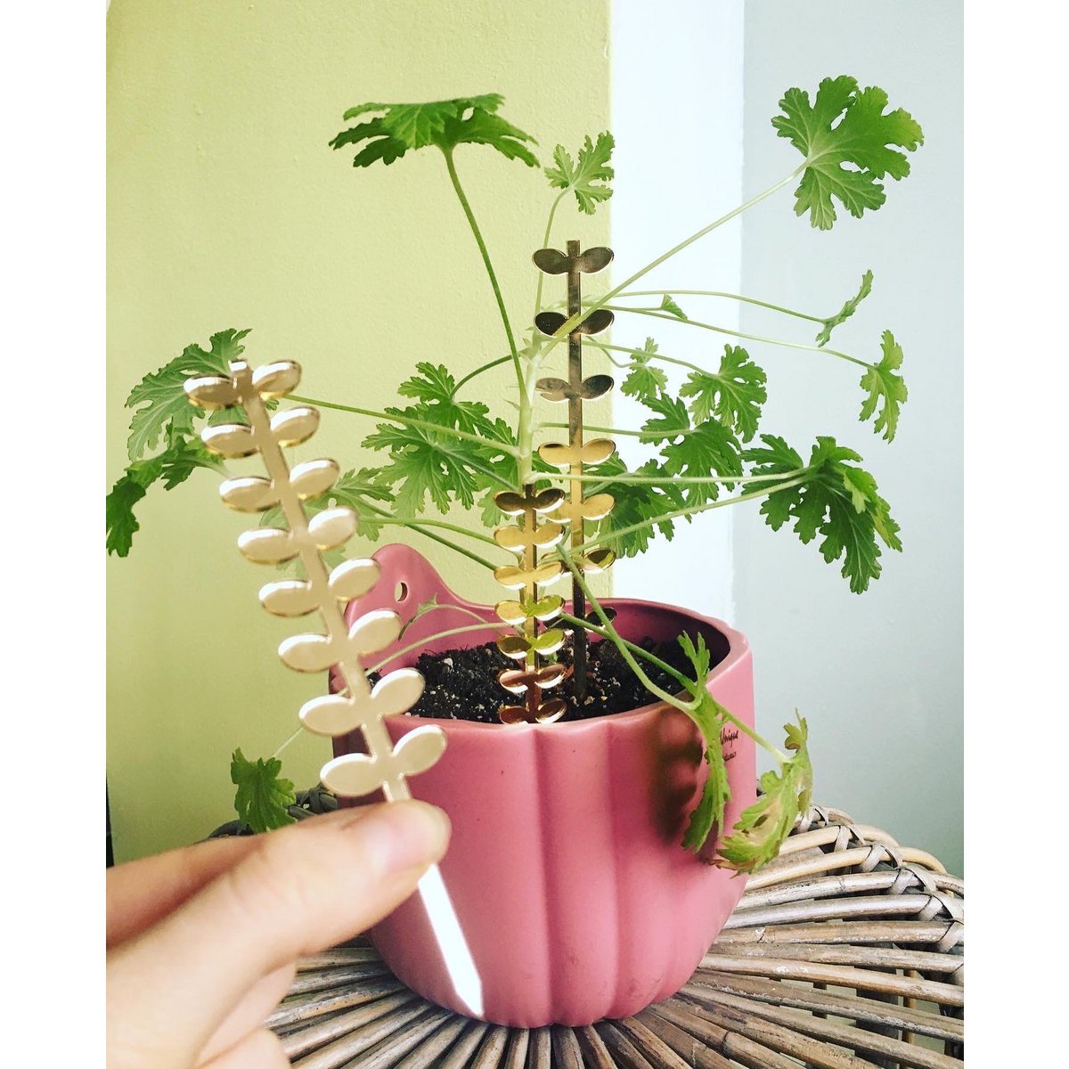 Plantstand set Leafs