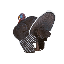 Mojo Woodland Toy Male Turkey - 387285