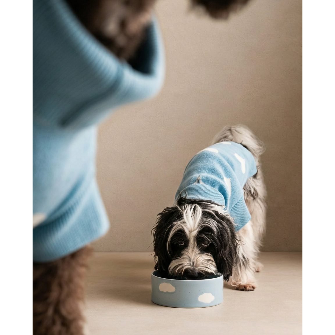 Cloud Pet Bowl 14cm 2 Pieces Set