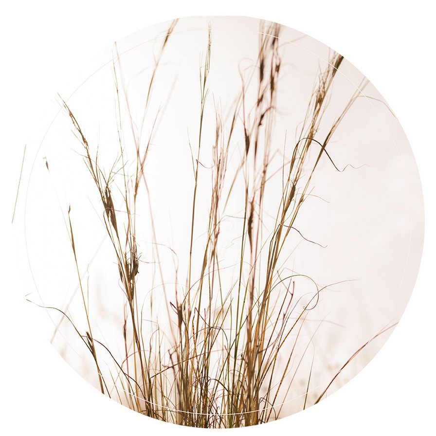 Muurcirkel grass