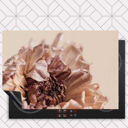 Induction protector - Dried chrysanthemum