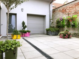 La Bolsa Verde M
