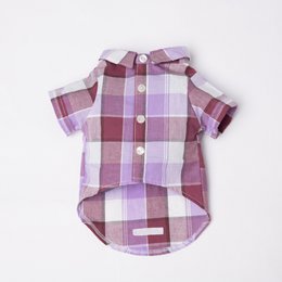 Camisa Joe