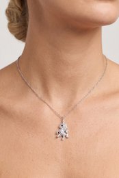 Collier en acier inoxydable