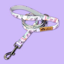 Pastel dog leash