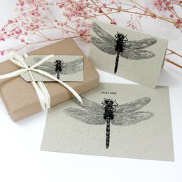 Minikaart van graspapier, libelle