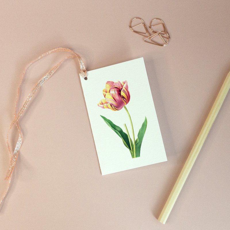 Geschenkanhänger Mix x8 Pack - Botanical Vintage
