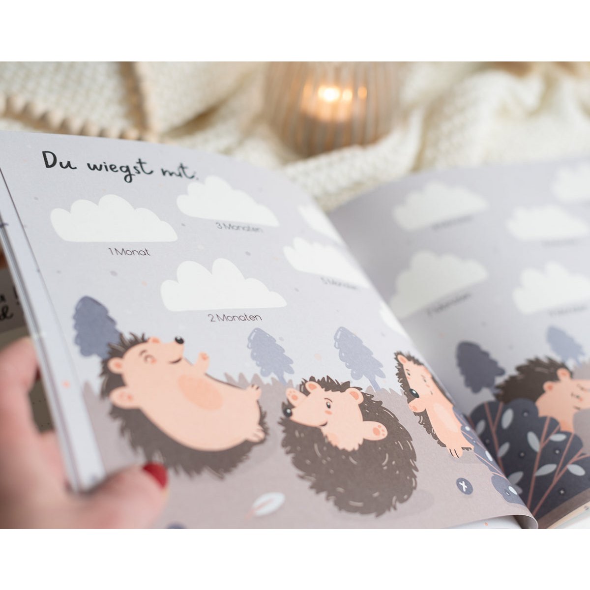 Libro de bebé - mi primer año