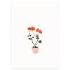 Postkarte | Geranie