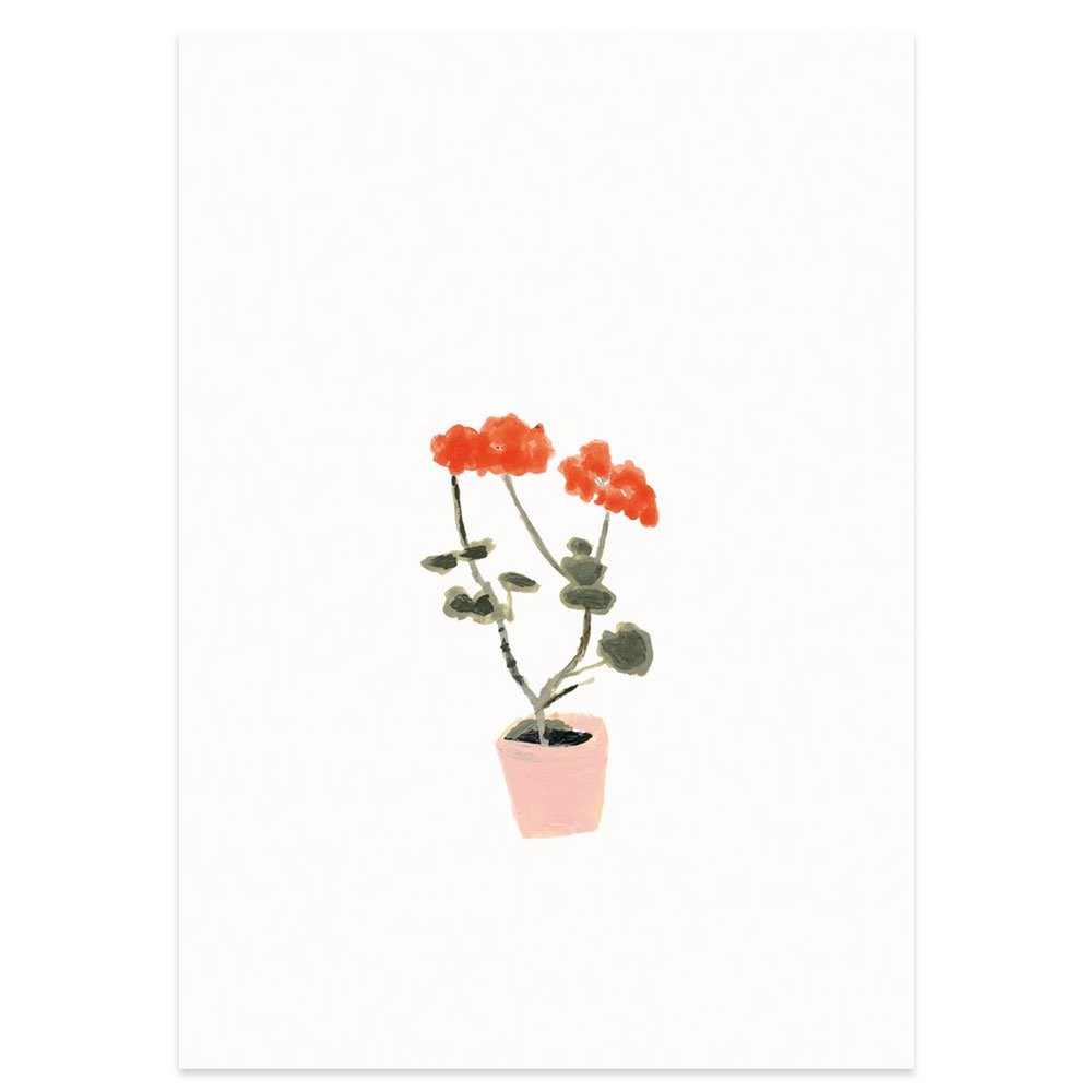postcard | Geranium