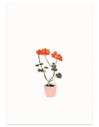 postkort | Geranium