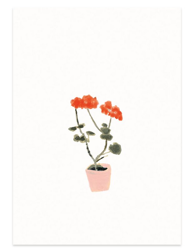 postkort | Geranium