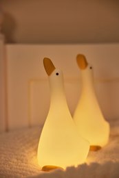Night light goose with 3 positions and 30 minutes timer