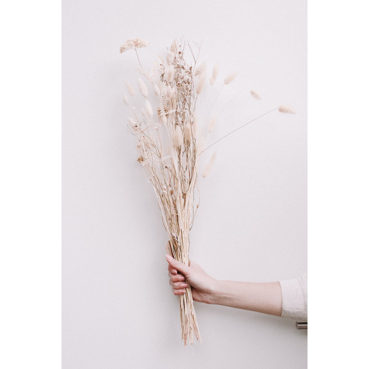 Suchy bukiet - White Wonder