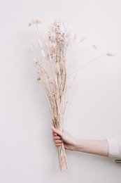 Tør buket - White Wonder