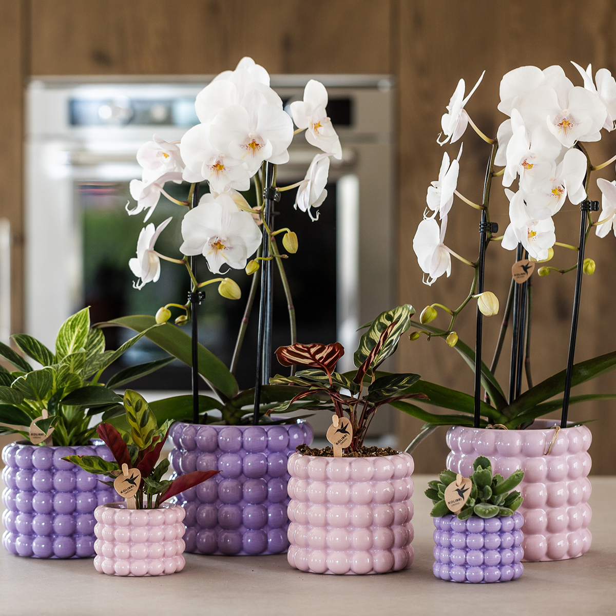 Kolibri Home | Poppy Sierpot - Pink - Ø9cm