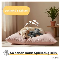 Gioco per cani "KIBA"