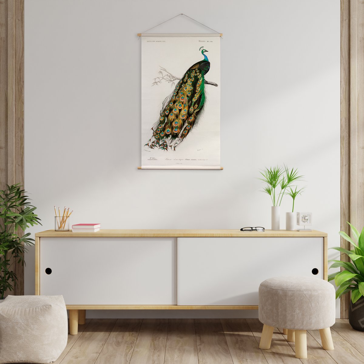 Póster textil con cordón de cuero - Ilustración Pauw D'Orbigny 65x45 cm - tela de pared