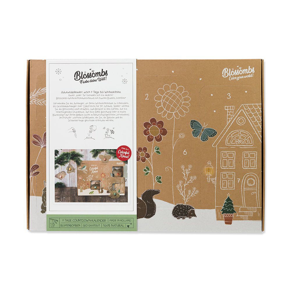 Adventskalender mit 7 Samenbomben Weihnachtskalender