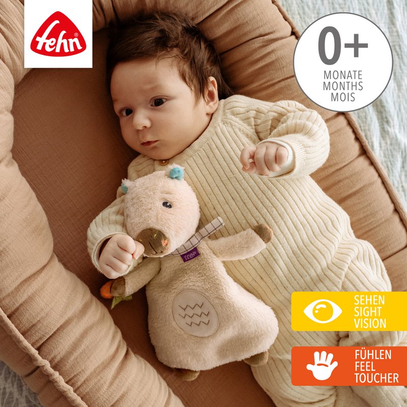 Heatable soft toy capybara